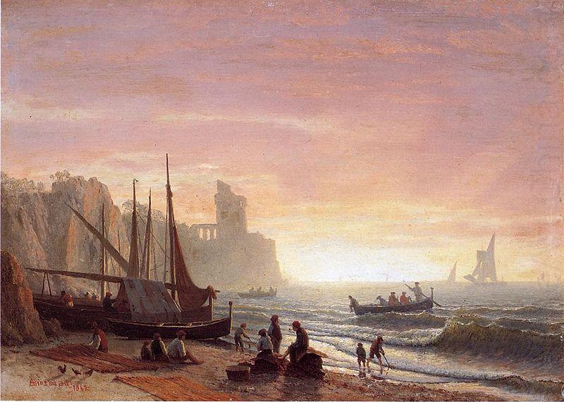 Albert Bierstadt The_Fishing_Fleet china oil painting image